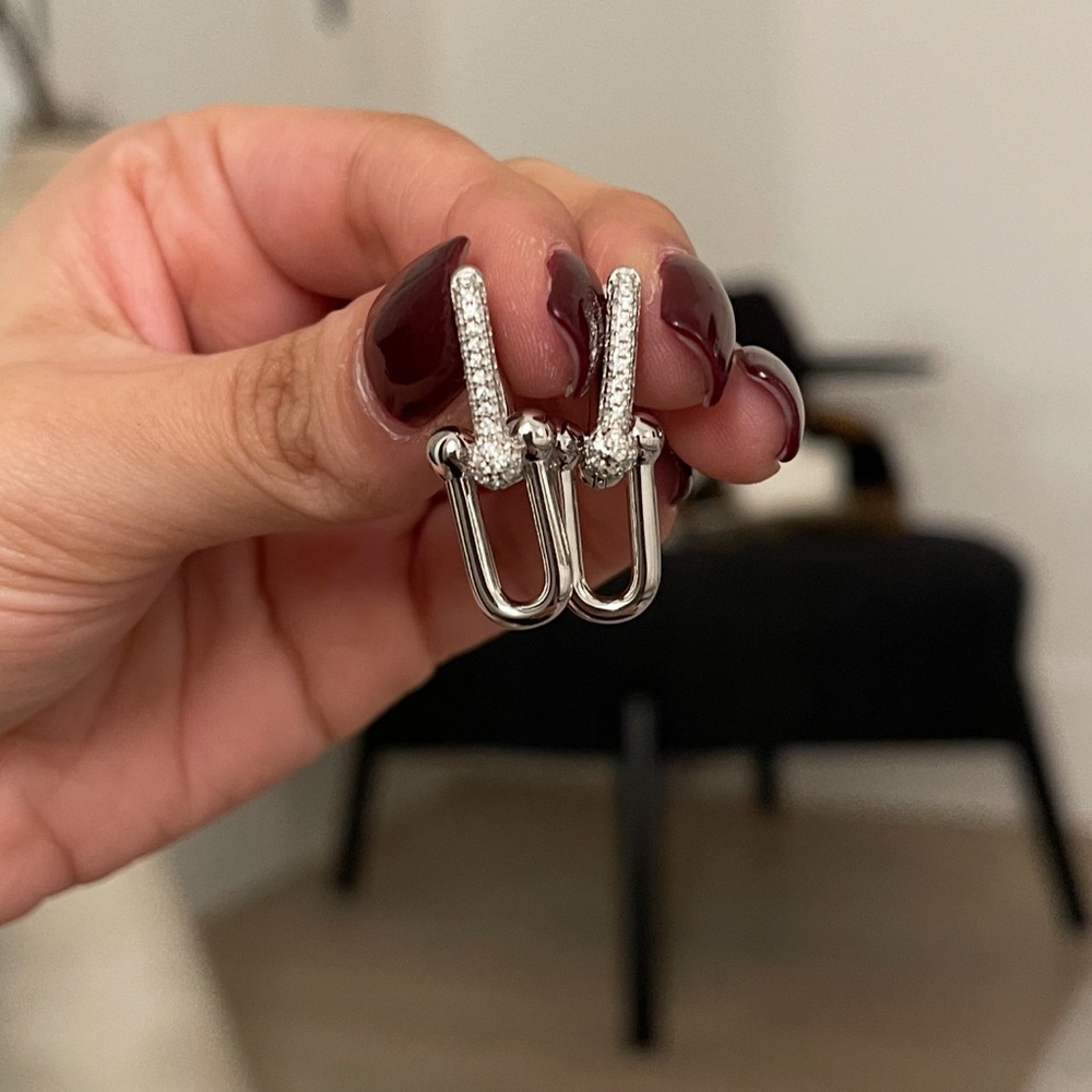 Silver Chain Link Earrings